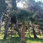 Apartman Tropical *