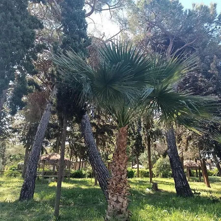 דירה Tropical *
