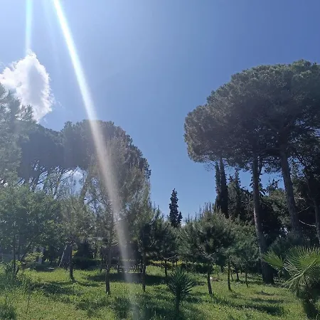 Tropical דירה *